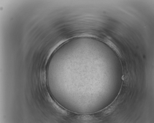 X0000062871092200601201748