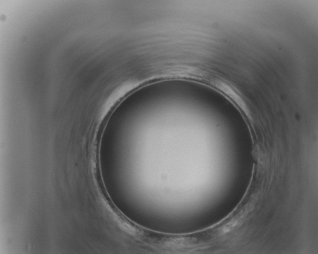 X0000062871093200601201748