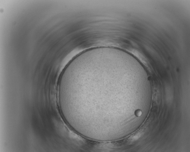 X0000062871094200601201748