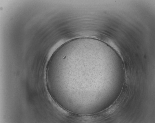 X0000062871096200601201748