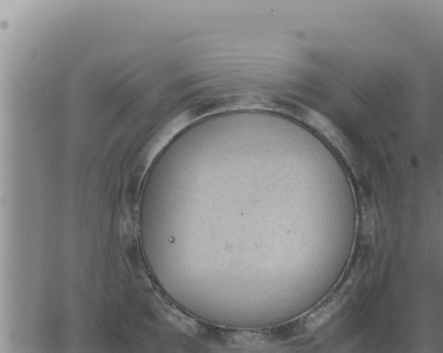 X0000062871097200601201748