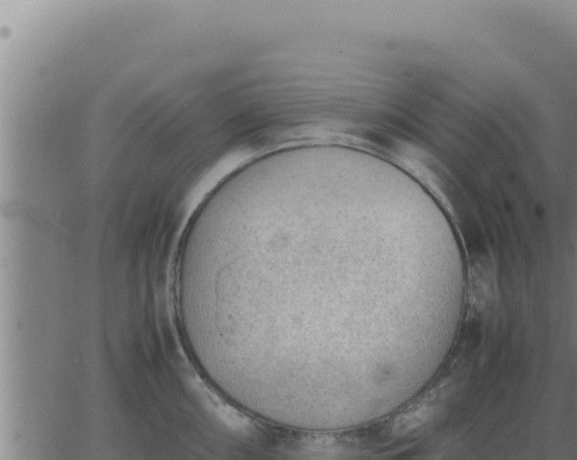 X0000062871098200601201748