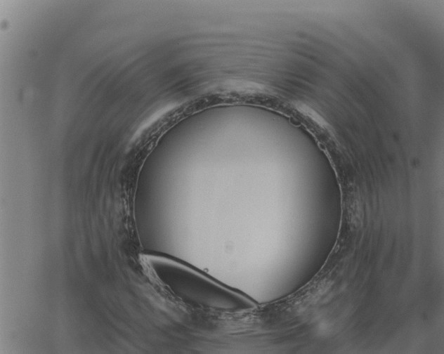 X0000062871112200601201747