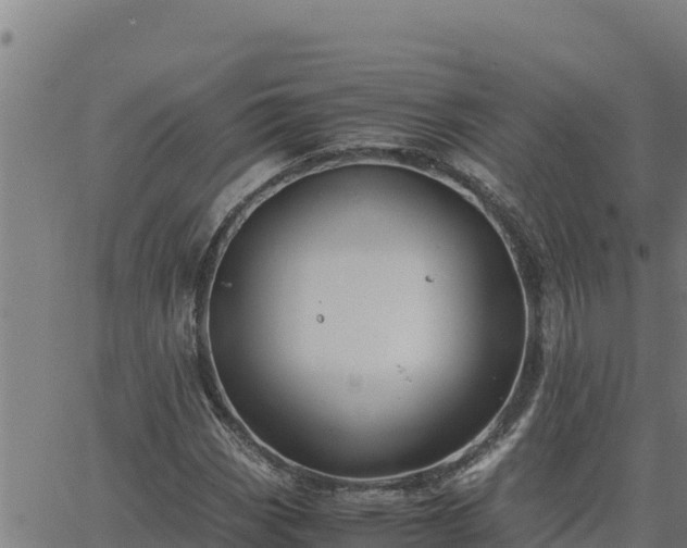 X0000062871113200601201747