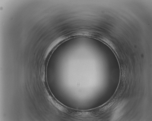 X0000062871131200601201747