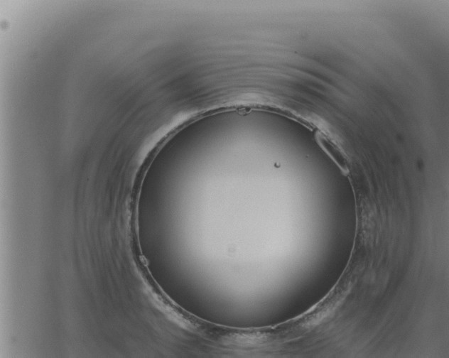 X0000062871134200601201747