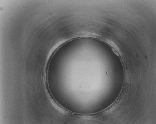 X0000062871136200601201747