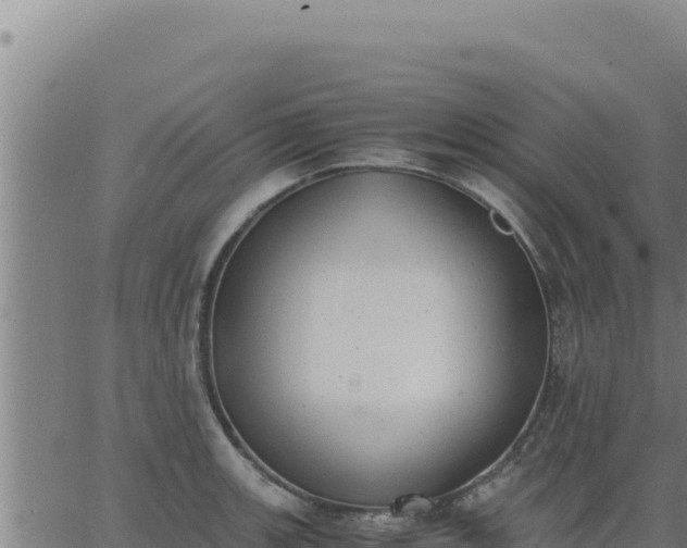 X0000062871139200601201747