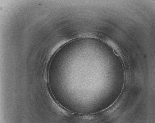 X0000062871141200601201748