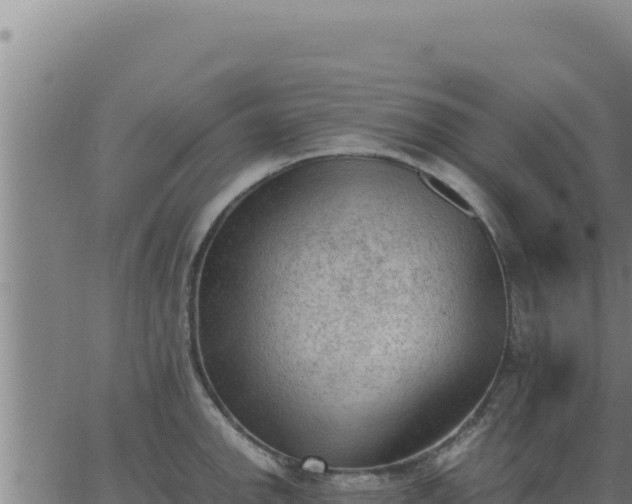 X0000062871142200601201748