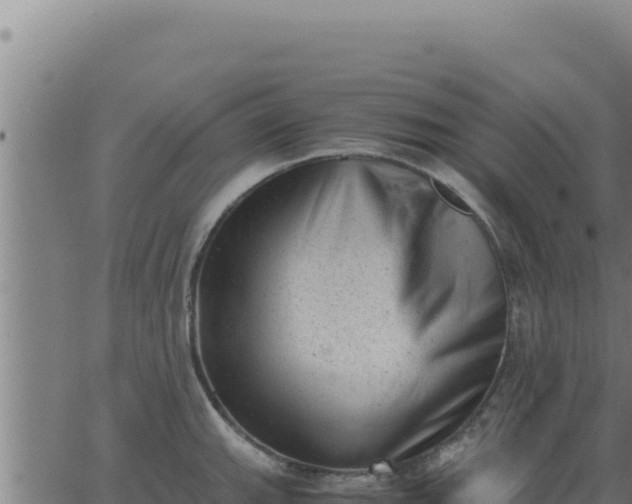 X0000062871143200601201748