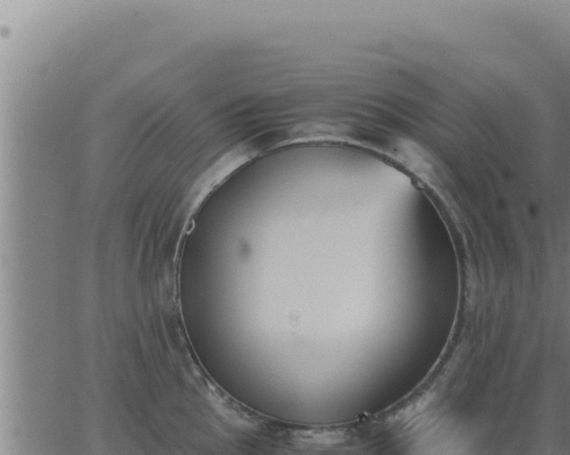 X0000062871145200601201748