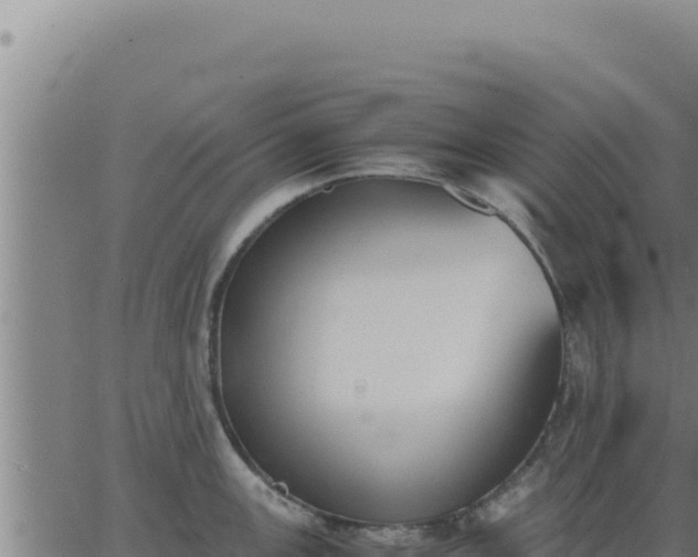 X0000062871147200601201748