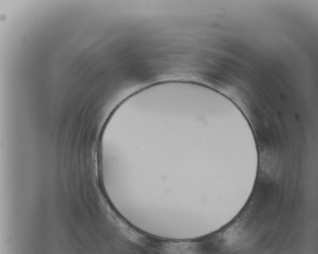 X0000062871150200601201748