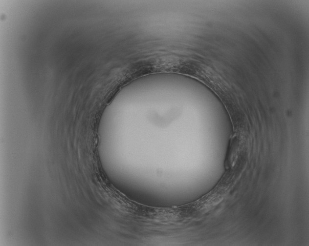 X0000062871153200601201747