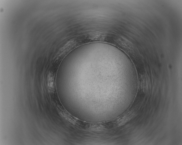 X0000062871154200601201747