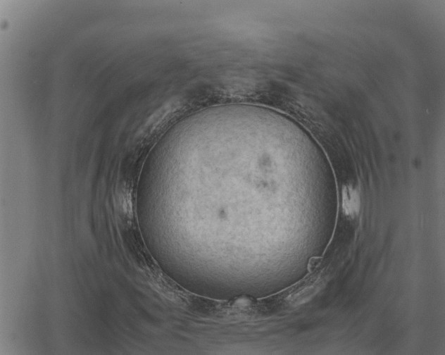 X0000062871155200601201747