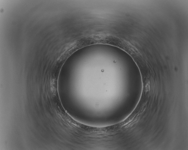 X0000062871156200601201747