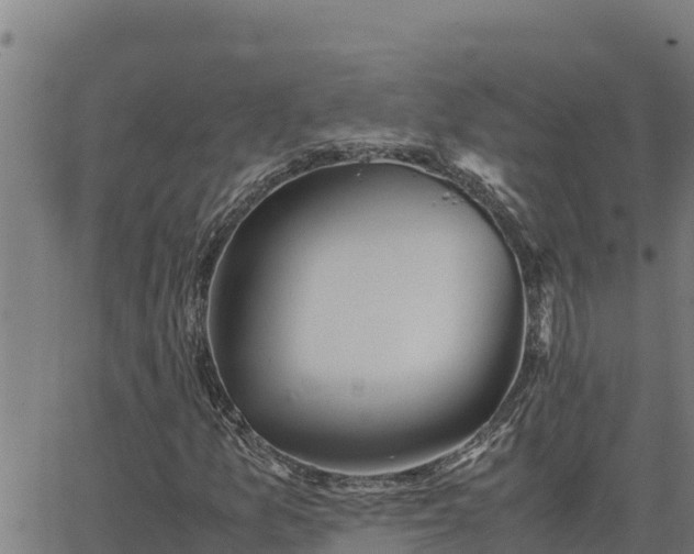 X0000062871157200601201747