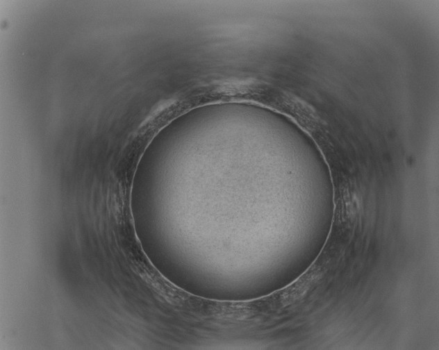 X0000062871158200601201747