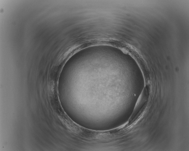 X0000062871161200601201747