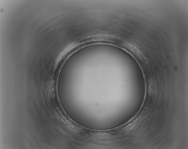 X0000062871164200601201747