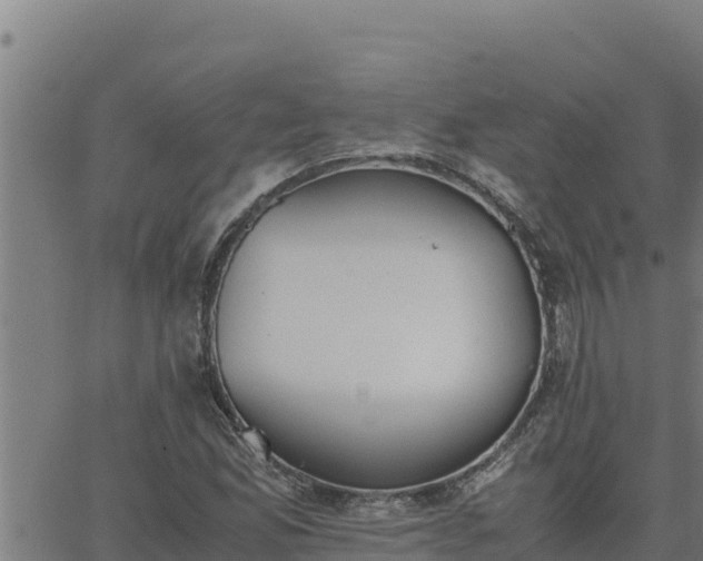 X0000062871165200601201747