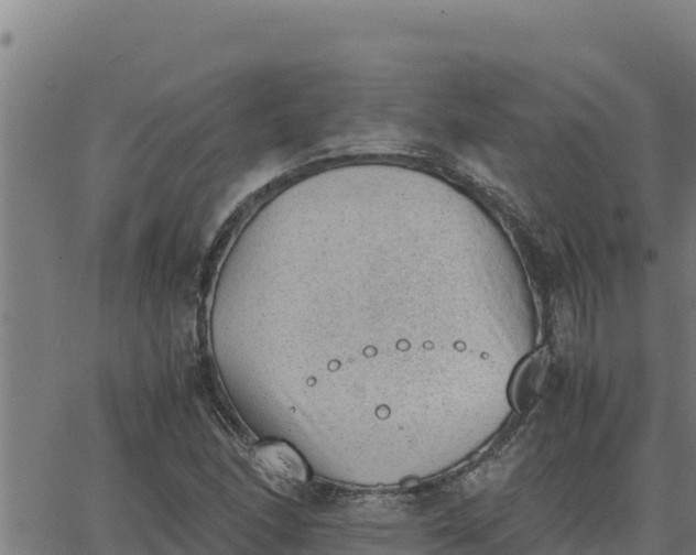 X0000062871166200601201747