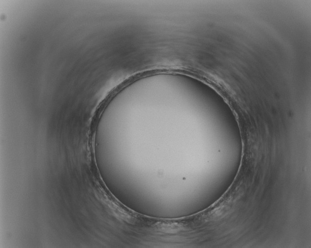 X0000062871168200601201747