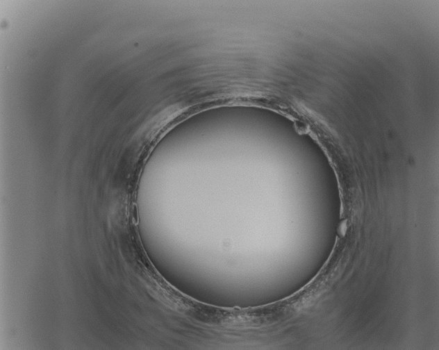 X0000062871169200601201747