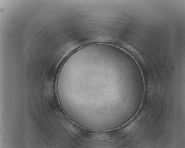 X0000062871170200601201747