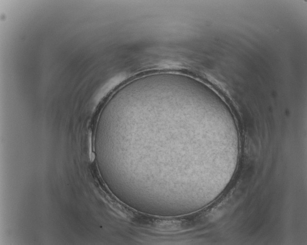 X0000062871171200601201747