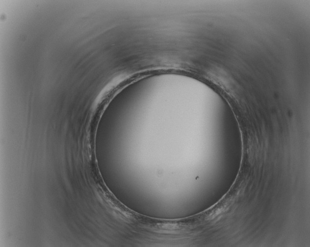 X0000062871172200601201747