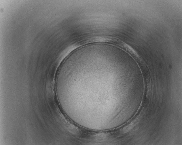 X0000062871178200601201746