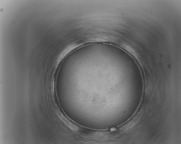 X0000062871179200601201746