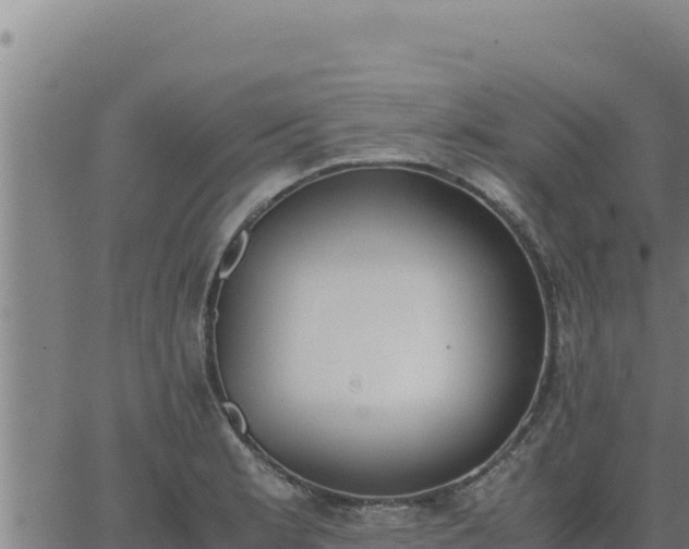 X0000062871181200601201746