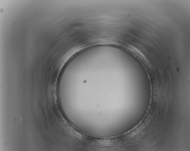 X0000062871182200601201746