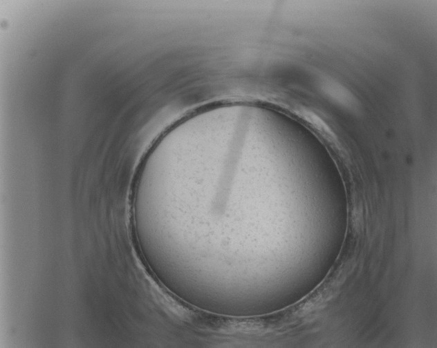 X0000062871183200601201746