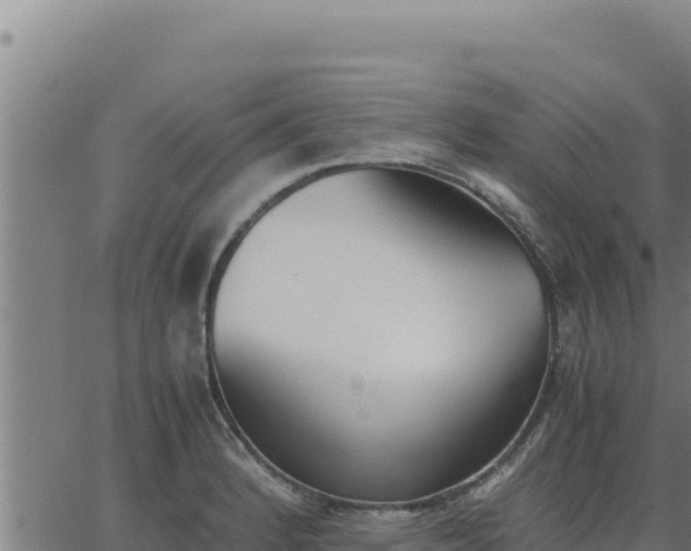 X0000062871184200601201746