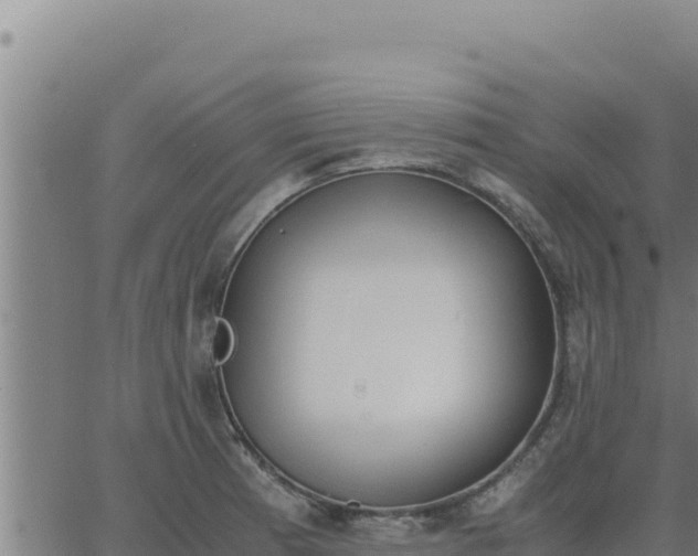 X0000062871185200601201746