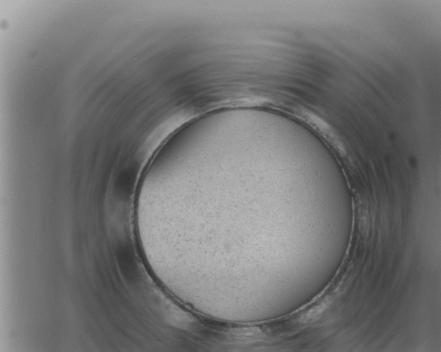 X0000062871186200601201746