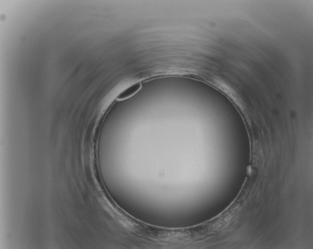 X0000062871187200601201746