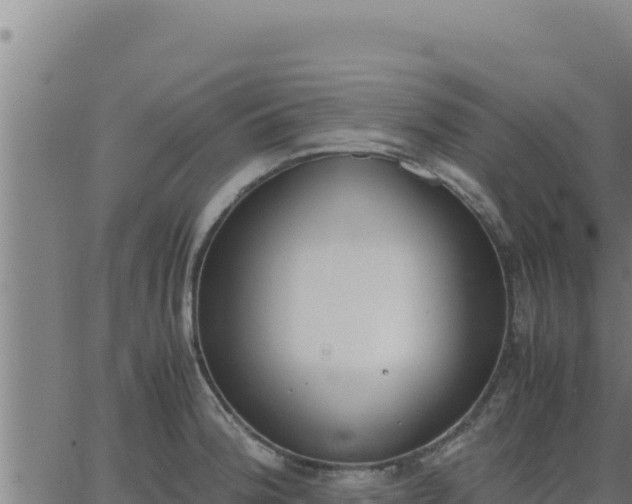 X0000062871188200601201746