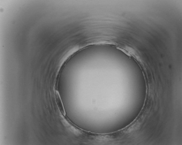 X0000062871189200601201746