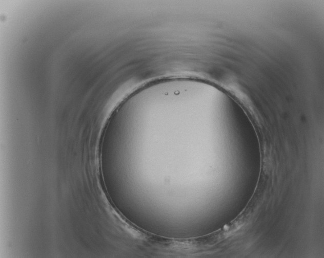 X0000062871191200601201746