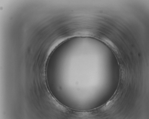 X0000062871192200601201746