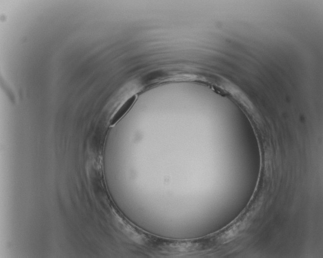 X0000062871193200601201746