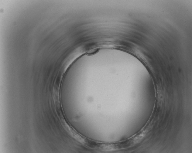 X0000062871194200601201746