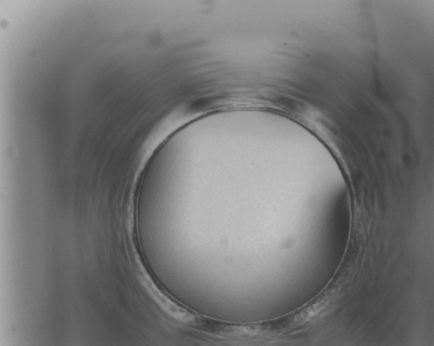 X0000062871195200601201746