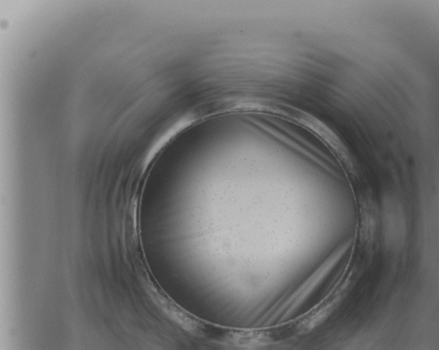 X0000062871198200601201746